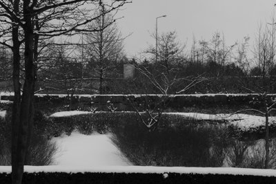 Le poids de l'hivers_4359795808_l.jpg